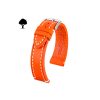 LIBERTY-HIRSCH-STRAPS