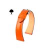 SIENA-HIRSCH-STRAPS