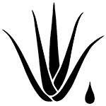 Aloe vera Aloe-vera-150x150