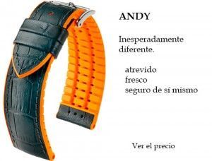 Andy Andy