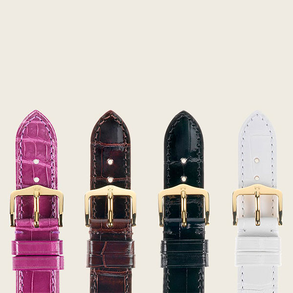 violeta-brillante-marrón-brillante-negro-brillante-blanco violeta-brillante-marrón-brillante-negro-brillante-blanco